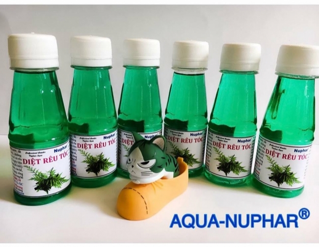 Diệt rêu tóc Nuphar