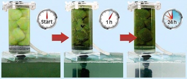 Bông lọc Sera Crystal clear