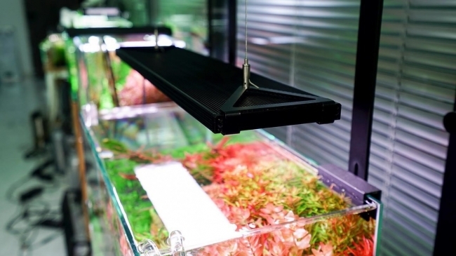 Bộ Cáp Treo Đèn Chihiros WRGB Pro