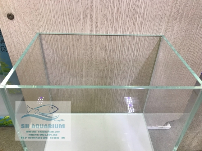 Bể siêu trong 50.26.30cm