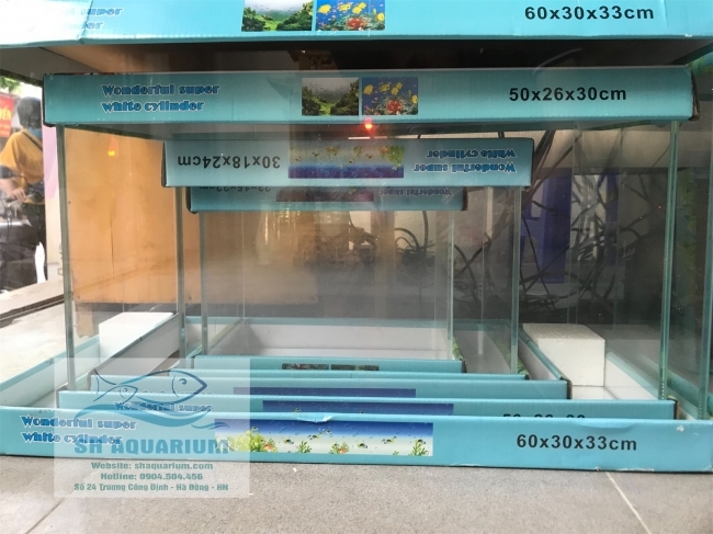 Bể siêu trong 50.26.30cm