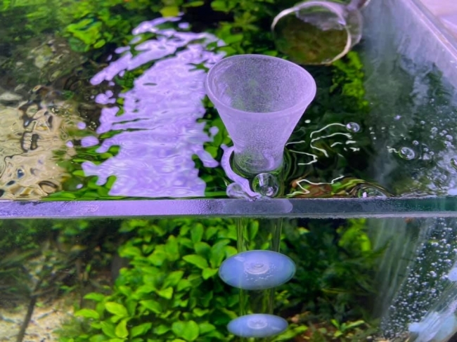 Bộ ống và chén cho tép ăn