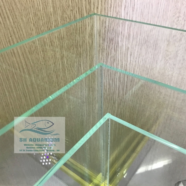 BỂ CUBIC 30CM SIÊU TRONG