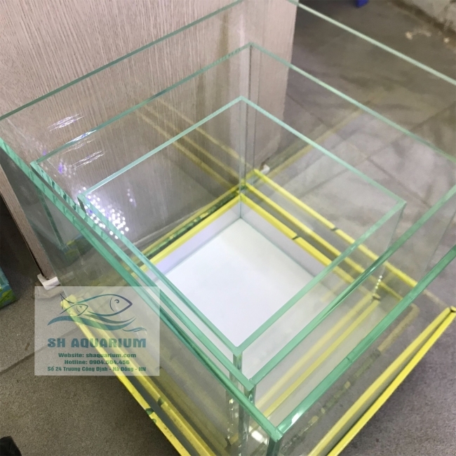 BỂ CUBIC 30CM SIÊU TRONG