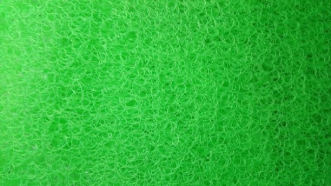 Bùi Nhùi Moutain Tree (200cm x 100 cm) (Jmat)