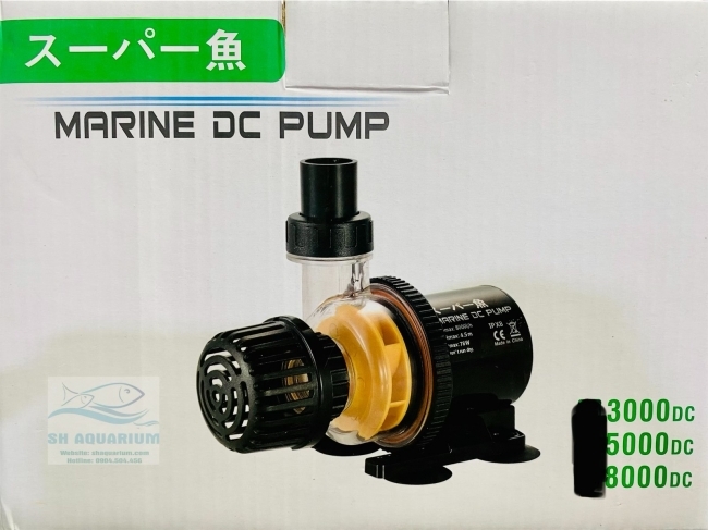 MÁY BƠM MARINE DC 3000