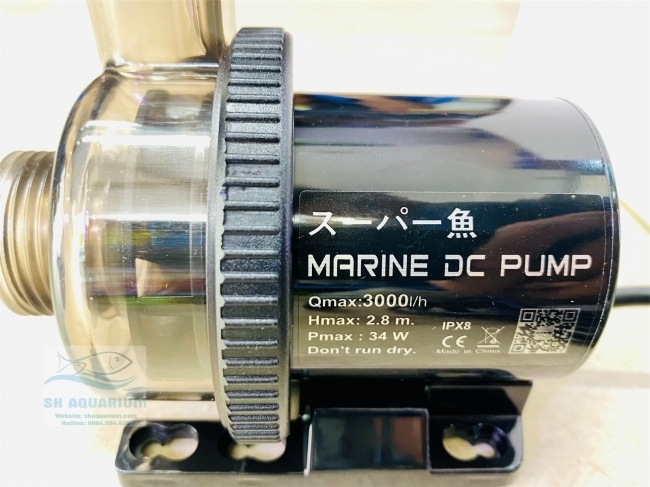 MÁY BƠM MARINE DC 3000