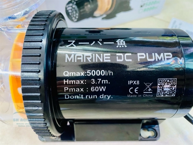 MÁY BƠM MARINE DC 5000