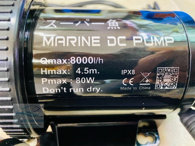 Máy Bơm Marine DC 8000