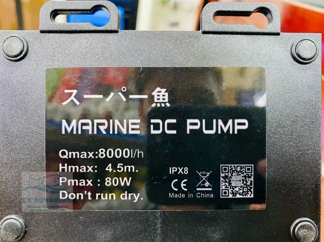 Máy Bơm Marine DC 8000