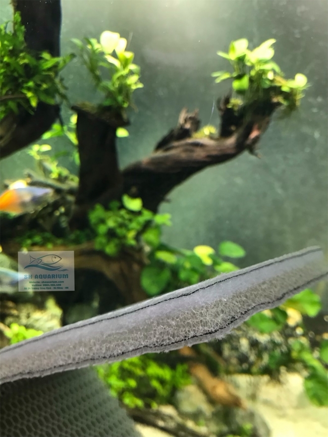 Bông 6D thế hệ mới 50.11.2cm