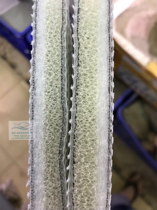 Bông 6D thế hệ mới 50.11.2cm