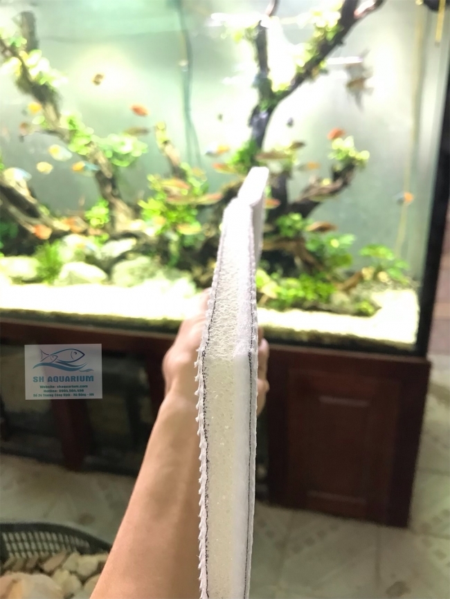 Bông 6D thế hệ mới 50.11.2cm
