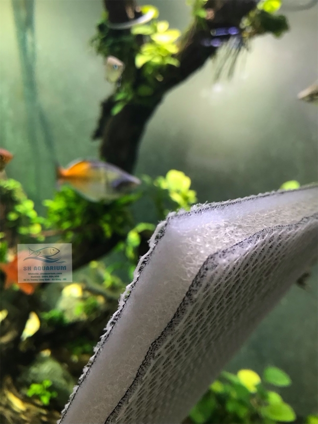 Bông 6D thế hệ mới 50.11.2cm