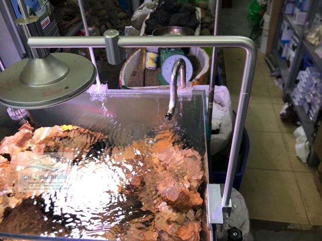 Chân treo đèn Inox Week Thanh Tròn