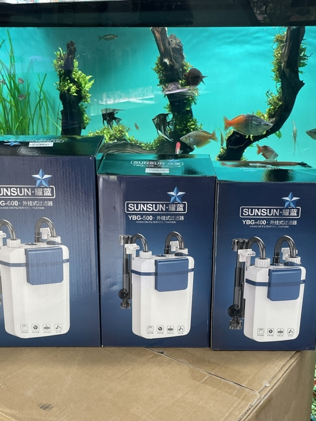 Lọc Treo Sunsun YBG 300 Giải Pháp Lọc Thủy Sinh Hiệu Quả, Êm Ái Và Tiết Kiệm Điện