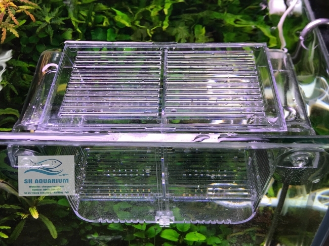 Lồng dưỡng cá và cho cá đẻ WT 2005