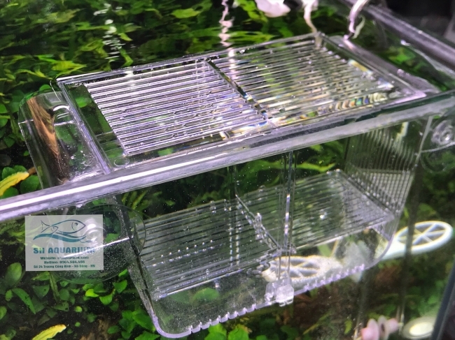 Lồng dưỡng cá và cho cá đẻ WT 2005