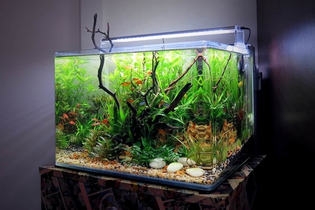 ĐÈN LED CHIHIROS A SERIA 601