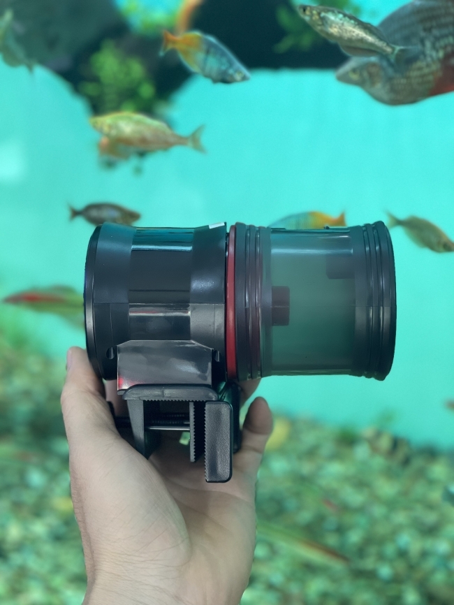 Máy cho cá ăn tự động Dophin AF013