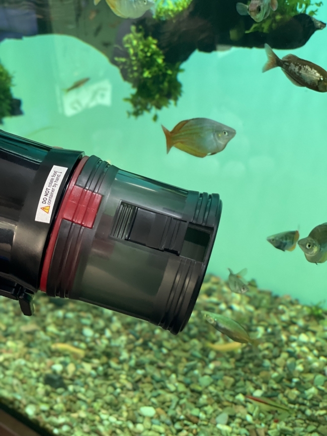 Máy cho cá ăn tự động Dophin AF013