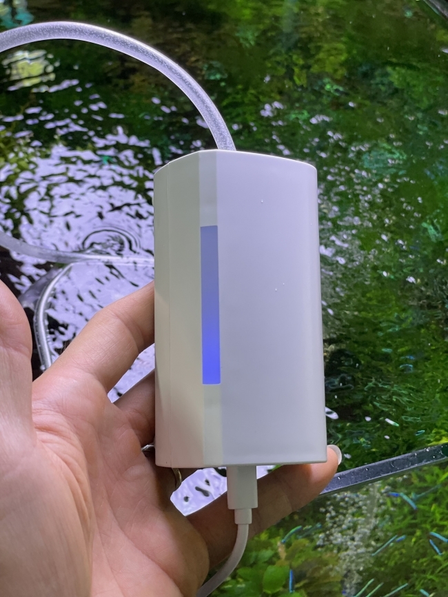 Máy sủi Siêu êm Dophin AP1600 siêu êm và nhỏ gọn
