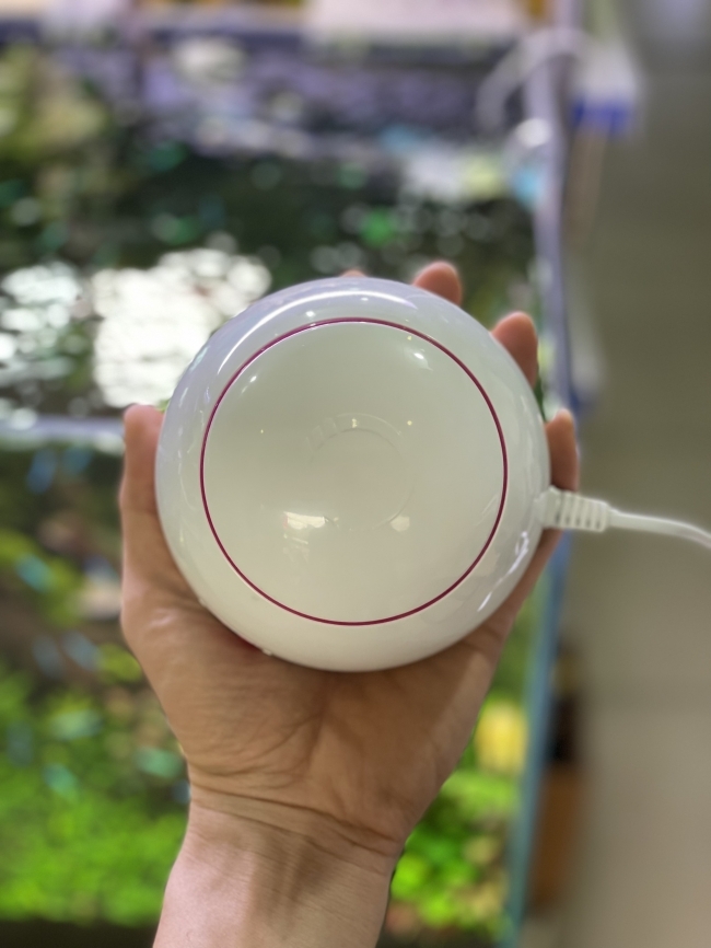 Máy sủi Oxy Dophin AP1501