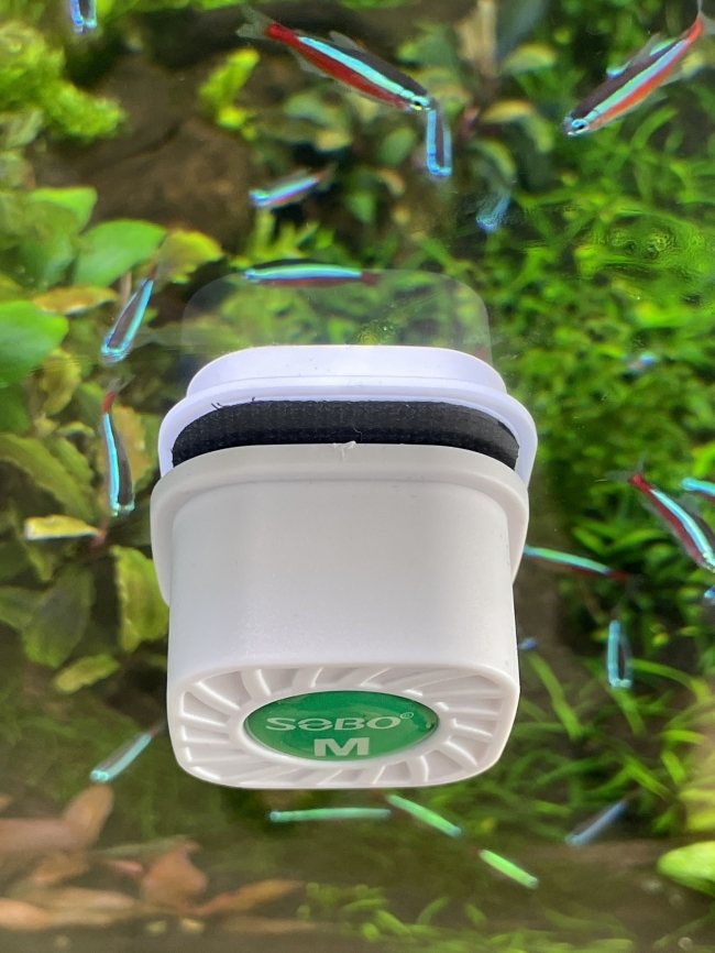 Nam châm lau bể cho bể cá sobo mini size S-M-L