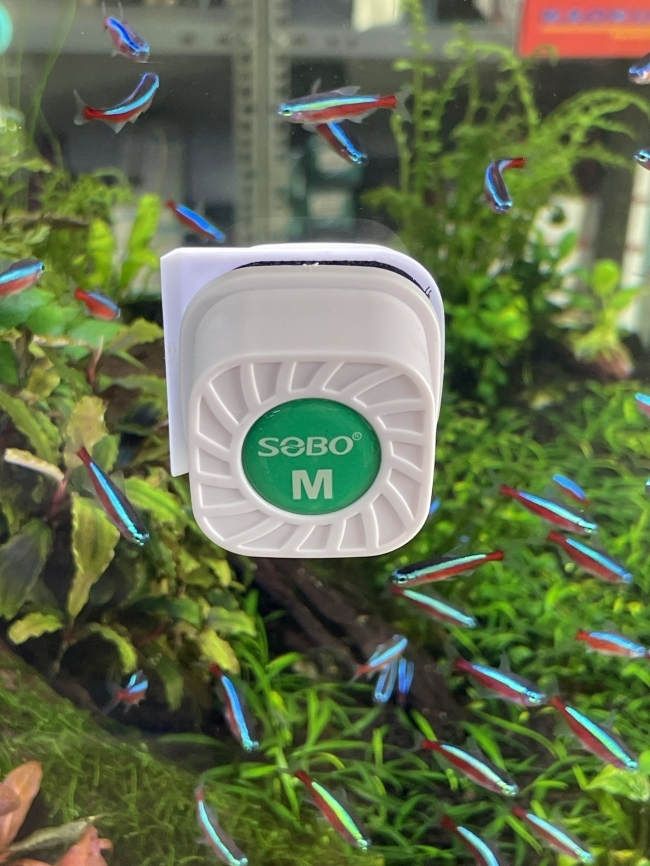 Nam châm lau bể cho bể cá sobo mini size S-M-L