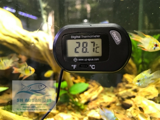 Nhiệt kế điện tử Up Aqua A-931
