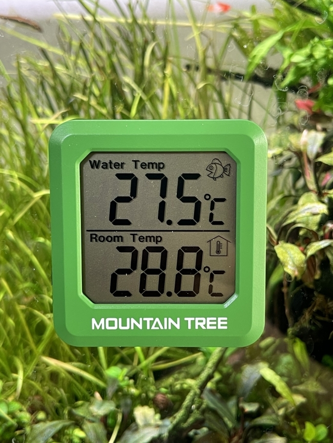 Nhiệt kế điện tử Mountain tree