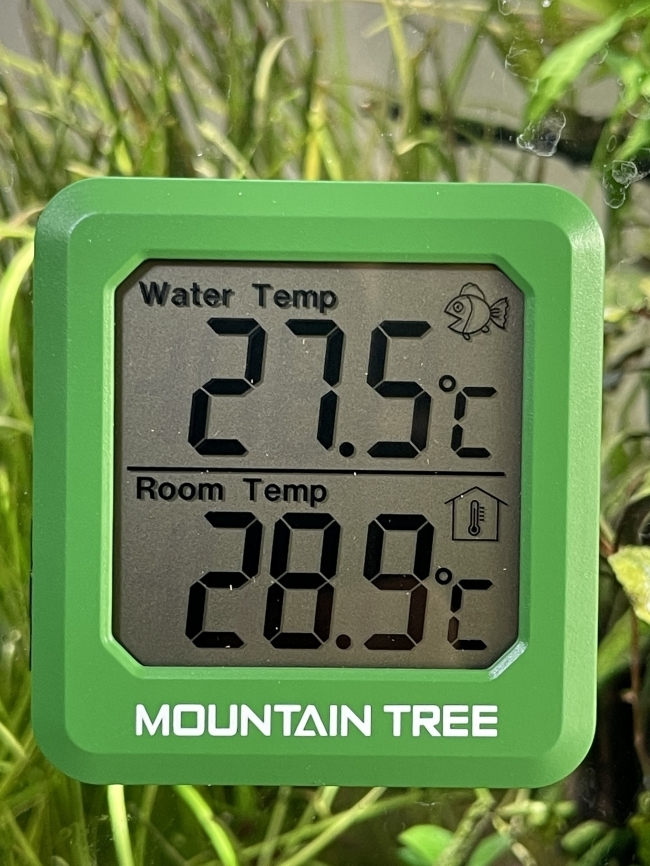 Nhiệt kế điện tử Mountain tree