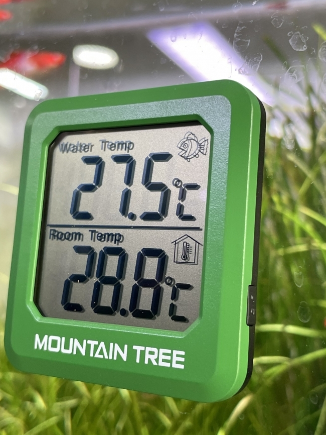 Nhiệt kế điện tử Mountain tree