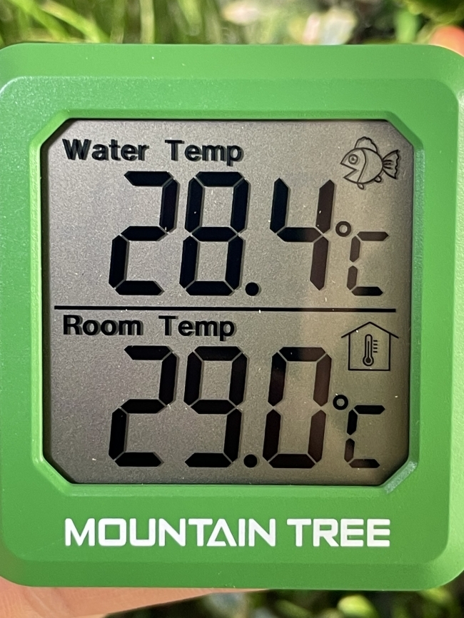 Nhiệt kế điện tử Mountain tree