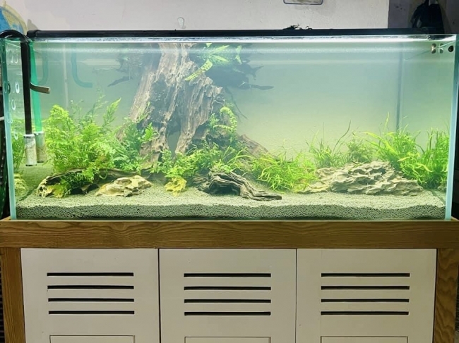 Phân nền Ever Green (Bao 5kg)