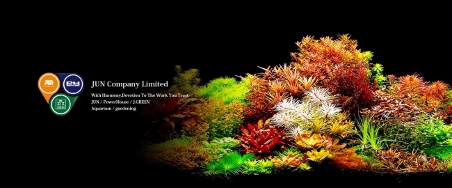 PHÂN NỀN NHẬT BẢN MASTER SOIL 3LIT