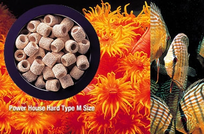 VẬT LIỆU LỌC CAO CẤP POWER HOUSE TYPE SOFT Size  M 1LIT