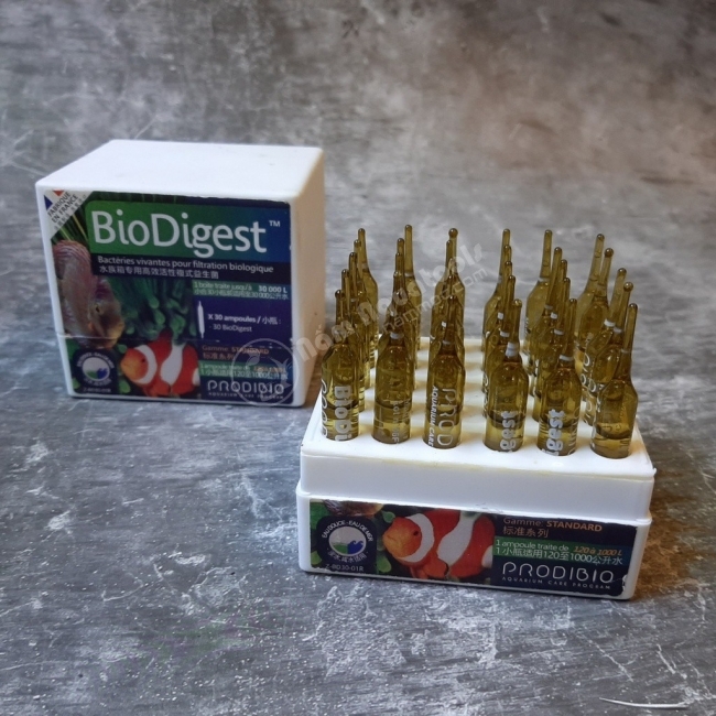 Vi sinh Pháp Prodibio BioDigest (ống)