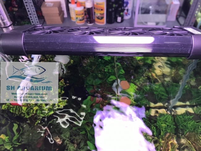 Quạt làm mát BOYU FS 602 - 604