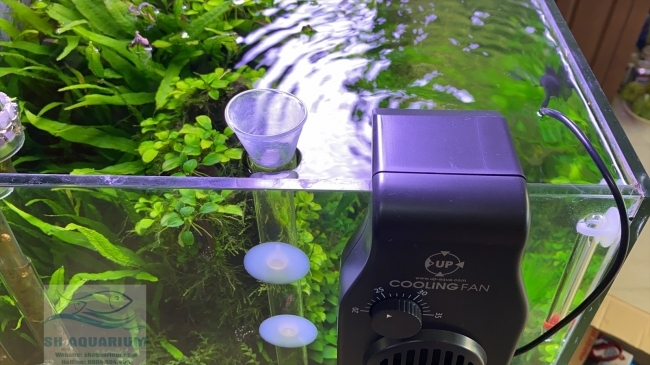 Quạt Làm Mát Up Aqua Có đầu dò nhiệt