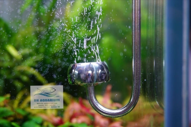 Sủi CO2 Inox Chihiros 20cm