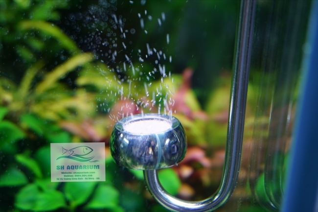 SỦI CO2 INOX CHIHIROS 30CM