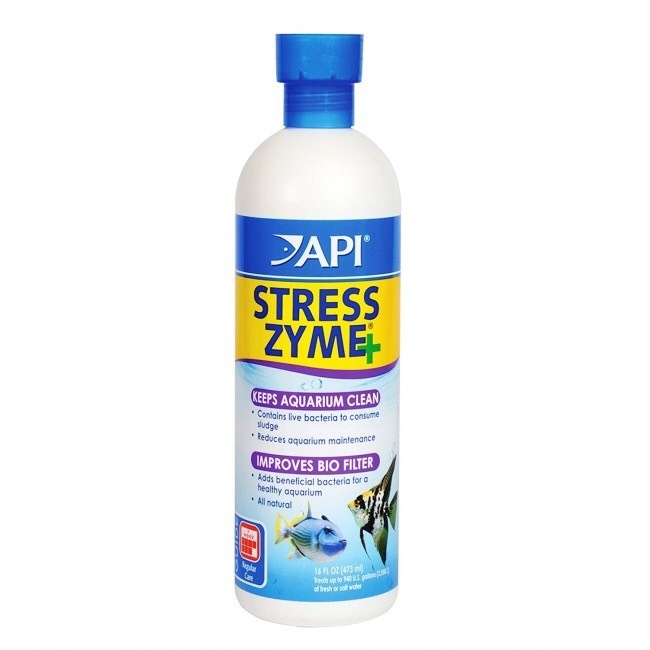 VI SINH SỐNG CAO CẤP API STRESS ZYME+ (237ml)