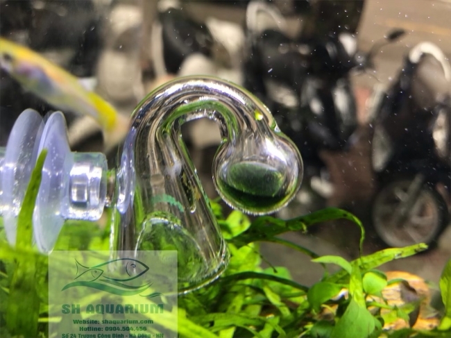 Bộ Test CO2 Up Aqua D529