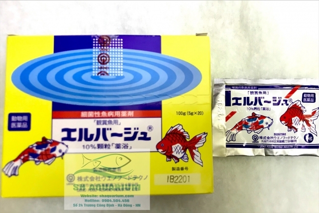 Thuốc Tetra nhật vàng