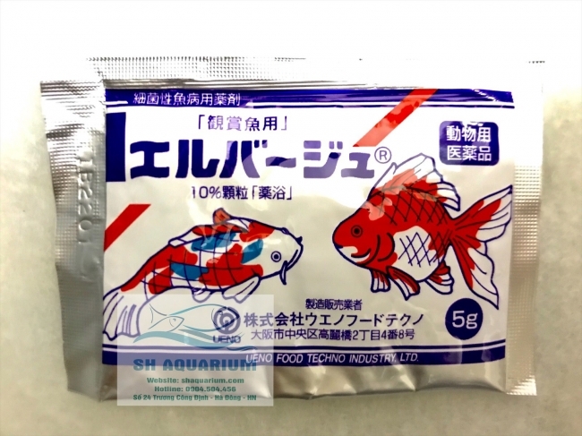 Thuốc Tetra nhật vàng