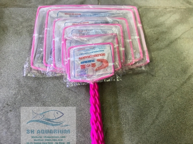 Vợt bắt cá