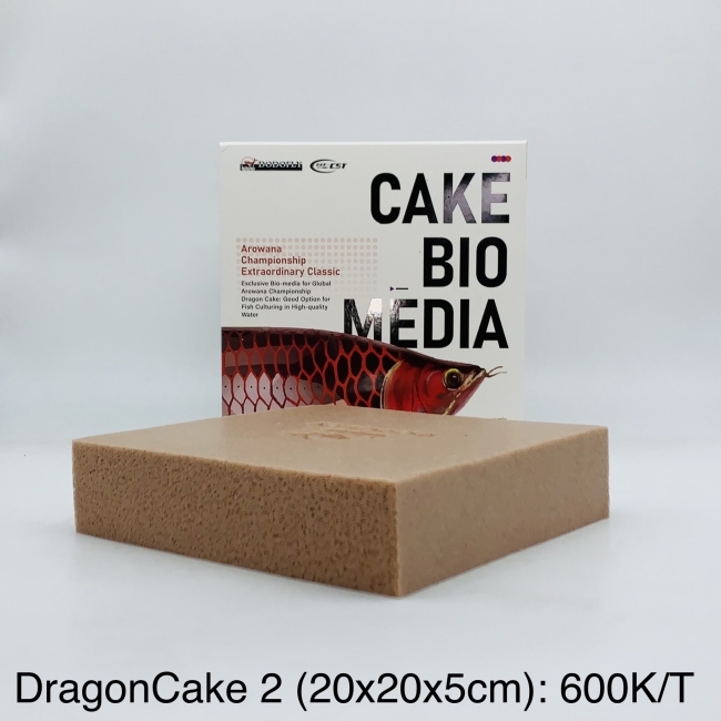 Vật liệu lọc Dodofly Dragon Cake 20.20.5cm