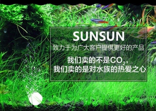 Viên sủi CO2 dạng nén Sunsun