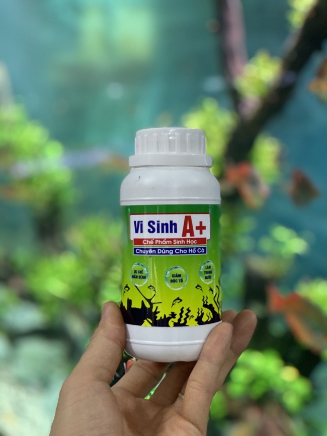 Men Vi sinh làm trong nước A+ (250ml)